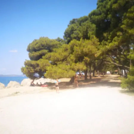 Апартаменты Asea Задар