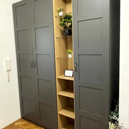 Asea زادار